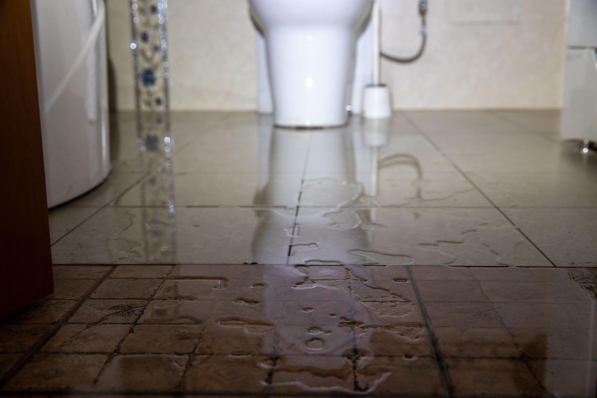 What Should You Do If Your Toilet Overflows?