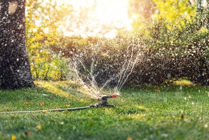 Tips to Reduce Outdoor Water Consumption This Summer